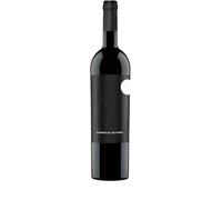 Olivini Notte a San Martino Merlot igt