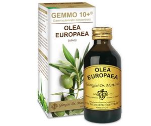 OLIVO 100ML ANALCO GEMMO 10+