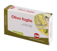 OLIVO FOGLIE ESTR SEC 60CPR