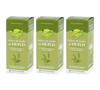 Olivo Infuso Foglie 500Ml 3x500 ml Soluzione orale