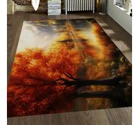 OLLIAR Home Autunno Paesaggio Naturale Lavabile Area Tappeto Sogno Montagna Lago Arancio Autunno Tappeti Antiscivolo Tappeto A Vele Basso per Camera Da Letto Cucina Picnic 180x270cm