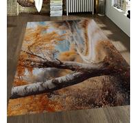 OLLIAR Home Tappeti per fattorie di campagna Sentiero lungo il fiume Tappeto a tema autunnale Tappeto lavabile antiscivolo per interni ed esterni per soggiorno Patio Cortile 90x180cm
