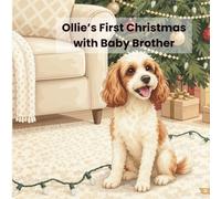 Ollie's First Christmas with Baby Brother