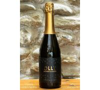 Olly Brut Vino Spumante Metodo Classico Uve Sangiovese I Filarini 75 cl. 12,5%