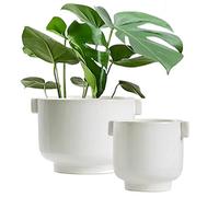 Olly & Rose Cotswolds - Set di vasi in ceramica con manici, per interni ed esterni, finitura lucida bianca invecchiata