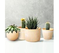 Olly & Rose Portofino - Set di 4 vasi in terracotta - Forme di design - Fioriere in terracotta lavata…