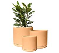 Olly & Rose Roma - Set di 3 vasi da giardino in terracotta, per interni ed esterni, in ceramica, rotondi, con piattini