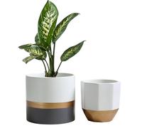 Olly & Rose Salih - Set di 2 vasi in ceramica a righe bianche, grigie e dorate, per interni ed esterni
