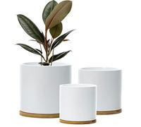 Olly & Rose Set di 3 vasi per piante in ceramica con sottobicchieri in bambù per interni, vasi bianchi in ceramica per fiori, contenitori per esterni grandi, medi, piccoli con piattini (bianco)