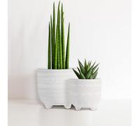 Olly & Rose set vasi in ceramica bianco