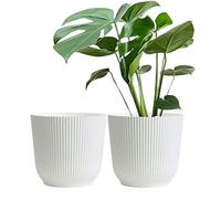 Olly & Rose Vaso per Piante Oxford - Confezione da 2 - Vasi da Fiori per Interni ed Esterni per Giardino e Casa - Vasi per Piante in Resina Rinforzata (Bianco, 22cm)