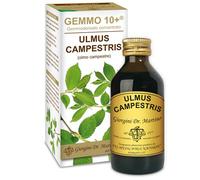 OLMO CAMP 100ml Analc.Gemme10+