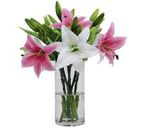 Olrla 6 Fiore di Giglio Artificiale Bianco e Rosa, Giglio Finto a Stelo Corto per Bouquet da Sposa fai da te, Decorazione da tavolo per l'ufficio, Decorazione Floreale per il Bagno