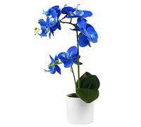 Olrla Fiori Artificiali Orchidea Blu in Vaso Bianco, Finto Real Touch Fiori di Orchidea Decor per Cucina Bagno Ufficio Matrimonio(Blue 2)