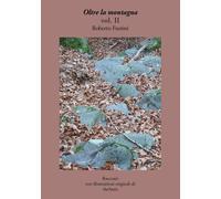 Oltre la montagna vol.II di Roberto Fustini, 2018, Youcanprint