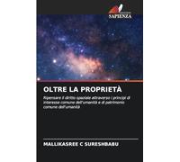 OLTRE LA PROPRIETÀ: Ripensare il diritto spaziale attraverso i principi di interesse comune dell'umanità e di patrimonio comune dell'umanità