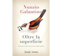 Oltre la superficie. Liberare la luce nascosta nelle parole - Galantino Nunzio