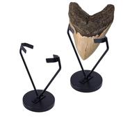 OLYCRAFT 2 Set Supporto per Denti di Squalo Megalodon Nero Espositore In Metallo per Denti di Squalo Supporto per Dente di Squali con Base Rimovibile per Gemme Corallo Geodi Rocce Cristallo