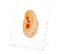 OLYCRAFT Modello di espositore per Orecchio Sinistro Modello di Orecchio in Silicone Modello di Orecchio Flessibile in Gomma con espositori in Acrilico per l'esposizione di Gioielli