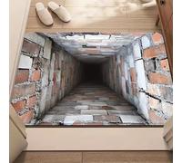 OLYGEE 3D Rugs Optical Illusion - Rug That Look like a Hole in the Ground, Easy Clean All-Weather Doormat for Entrance, Living Room, Playroom & Office (D 50X80cm)