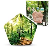 Olympia Sound of Nature Box Speaker Speaker Speaker 8001