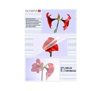 Olympia Buste Per Laminazione Din A4 125 Micron 100 Unità