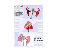 Olympia 1x100 DIN A4 80 micron Trasparente DIN A4 100 pezzo(i) 9166