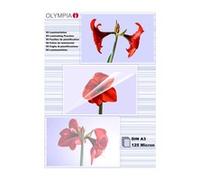 Olympia 1x50 DIN A3 125 micron Trasparente A3 50 pezzo(i) Lamination 9175