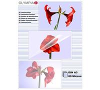 Olympia - 1x50 DIN A3 80 micron, A3, Trasparente