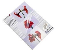 Olympia 9174 Pellicola per plastificazione DIN A3 80 micron 50 pz.