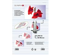 CF. 25 POUCHES PER PLASTIFICATRICE F.TO A3 80 MICRON PER LATO OLYMPIA 9182