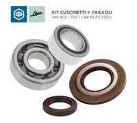 OLYMPIA KIT REVISIONE ALBERO MOTORE APE TM 602/703 BENZINA CUSCINETTI E PARAOLI