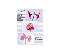 OLYMPIA - 100 pcs. - lamination film Single