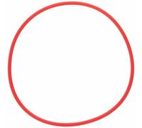 Olympus JAPAN POL-053 O-Ring per alloggiamento subacqueo PT-053