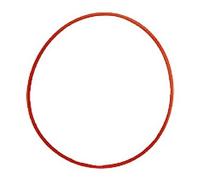Olympus O-ring POL-EP13 per PT-EP13