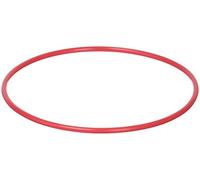 Olympus POL-050 O-Ring per Custodia Subacquea PT-050, Rosso