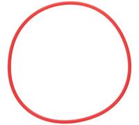 Olympus POL-053 O-Ring per Custodia Subacquea PT-053, Rosso