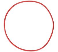 Olympus POL-EP13 O-Ring per Custodia Subacquea PT-EP13, Rosso