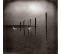 Om - Conference Of The Birds