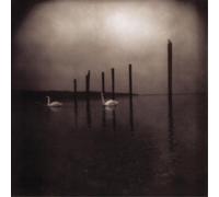 Om Conference of the Birds (CD) Album