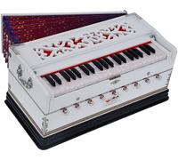 OM Harmonium By Kaayna Musicals, 9 stops-5 main, 4 droni, 31/2 ottava, gig ba...