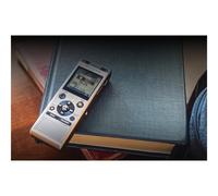 Olympus WS-882 Flash card Argento