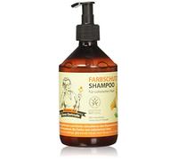 Rezepte der Oma Gertrude Color Protect Shampoo - 500 ml