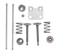 Omabeta Set Molle Valvola Coperchio Protezione Piastra Valvola per Motore GX160 GX200 con Materiale in Ferro e Alluminio Sostituzione Diretta OEM 14791-ZE1-010