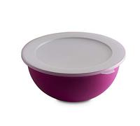 Omada Design Insalatiera 3,5 lt con Coperchio, Antibatterica, In Plastica, Idonea a Microonde, Lavastoviglie, Made in Italy, Linea Sanaliving