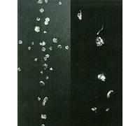 Omar Galliani, Lorenzo Puglisi. Visioni di luce e tenebra. Catalogo della mostra (Milano, 24 maggio-13 giugno 2018)