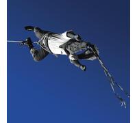 Omar Rodriguez-Lopez Ensayo De Un Desaparecido (Vinyl LP) 12" Album