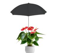 Ombreggiatura per piante, 75 cm, protezione UV, resistente alle intemperie, con picchetto