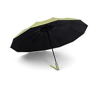 Ombrello con impugnatura ergonomica portatile compatto pieghevole leggero for uomo e donna che resiste alla tempesta di neve, rosa(Green)