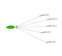 Ombrello Rig Bass,Ombrello Rig Pesca in acqua salata, Esca d'attacco di gruppo di attrezzatura da pesca 5 bracci, Esca da pesca al bar ombrello, esca da pesca al bar, design realistico 'occhio